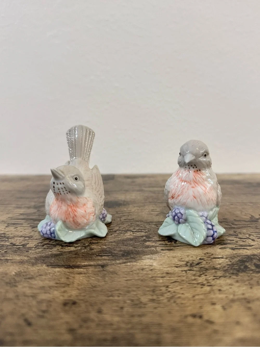 Vintage Bird Salt & Pepper Shakers | Porcelain Floral Berry